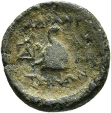 coin rev