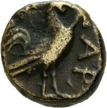 coin rev