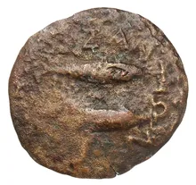 coin rev