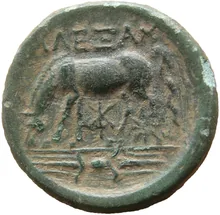 coin rev