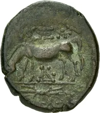 coin rev