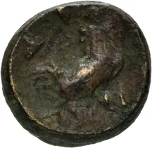 coin rev