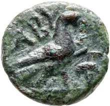 coin rev