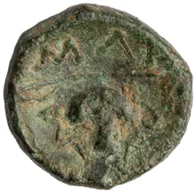 coin rev
