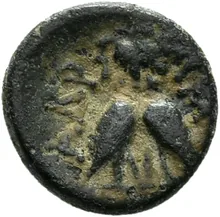 coin rev