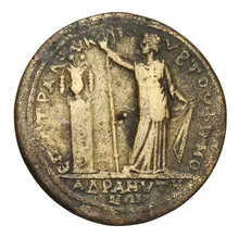 coin rev