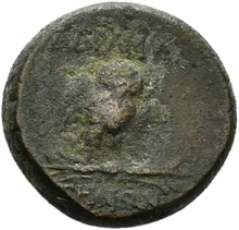 coin rev