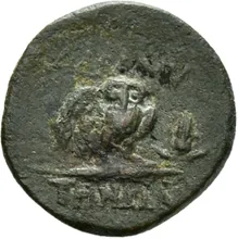 coin rev