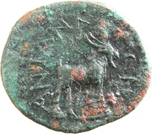 coin rev