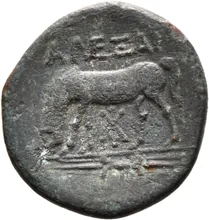 coin rev
