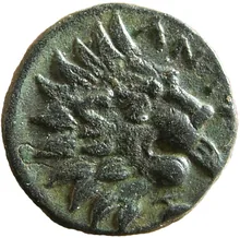 coin rev