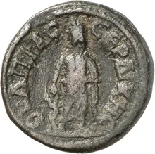 coin rev