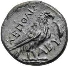 coin rev