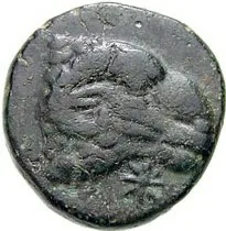 coin obv