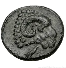 coin rev