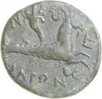 coin rev