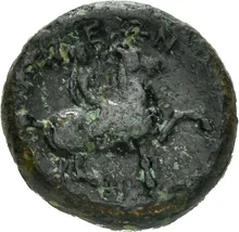 coin rev