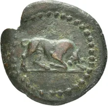 coin obv