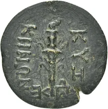 coin rev