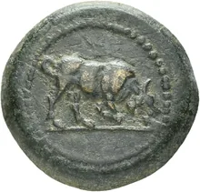 coin obv
