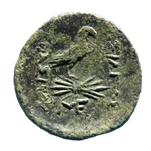 coin rev