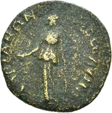 coin rev