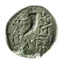 coin rev