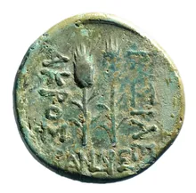 coin rev