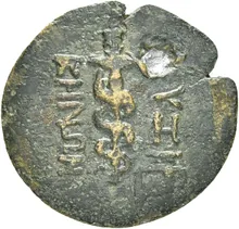 coin rev