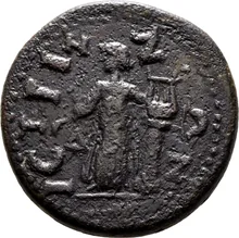 coin rev