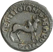 coin rev