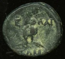 coin rev