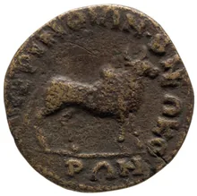 coin rev