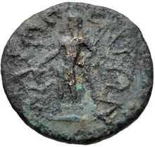coin rev
