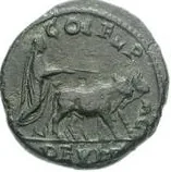 coin rev