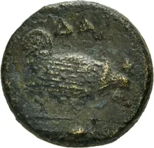 coin rev