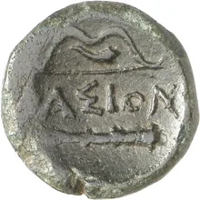 coin rev