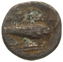 coin rev