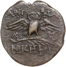 coin rev