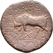 coin rev