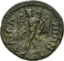 coin rev