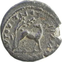 coin rev