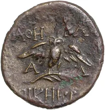 coin rev
