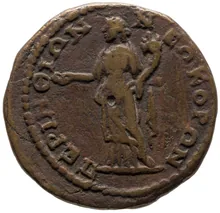 coin rev