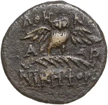 coin rev