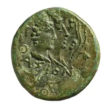 coin rev