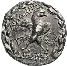coin rev