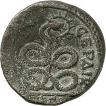 coin rev