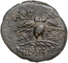 coin rev
