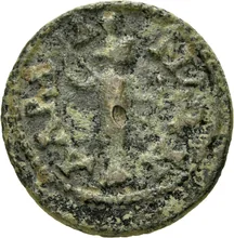 coin rev